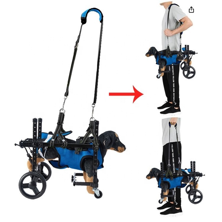 Small Dog Rehabilitation Train - đánh giá và giá Outdoor Power Wheels