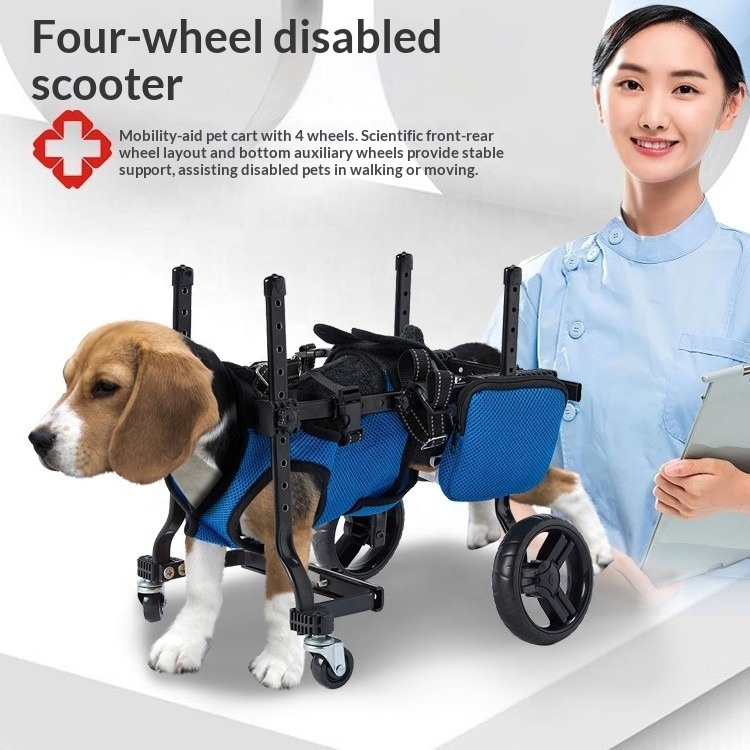 Small Dog Rehabilitation Train - đánh giá và giá Outdoor Power Wheels
